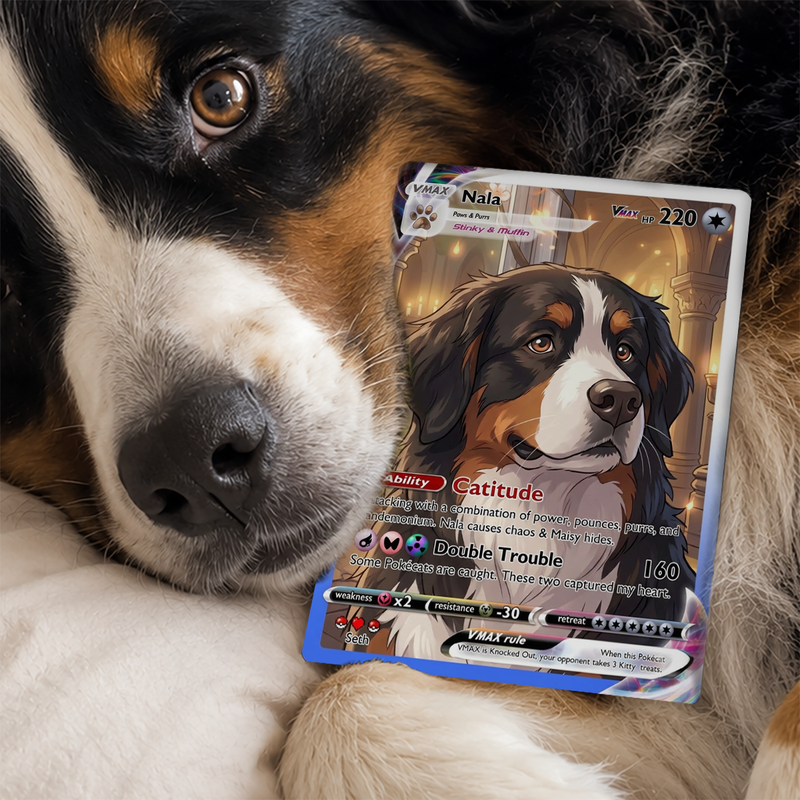 Pet