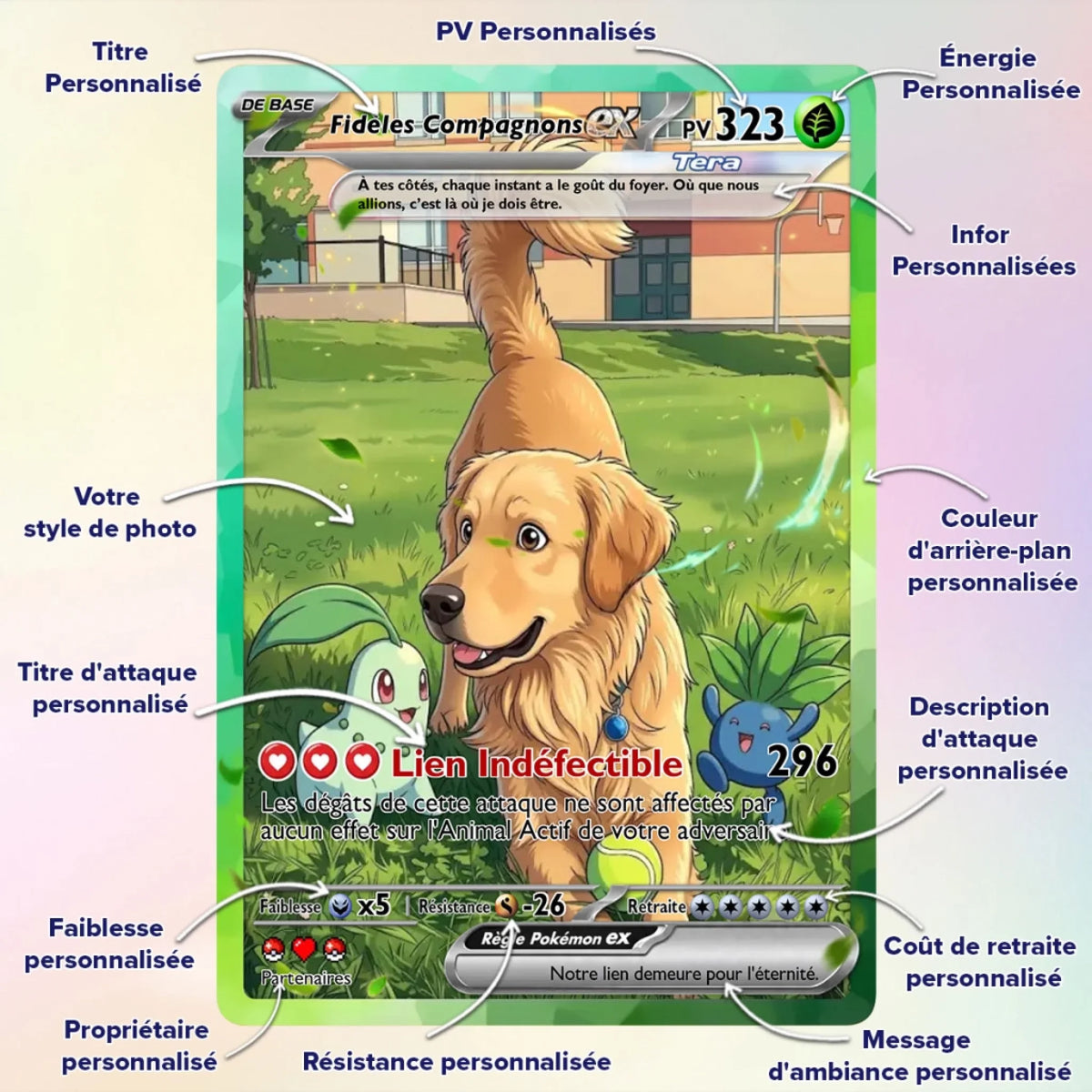 Cards