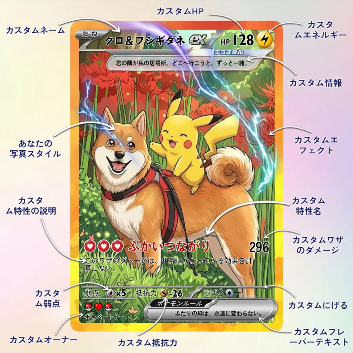 Cards